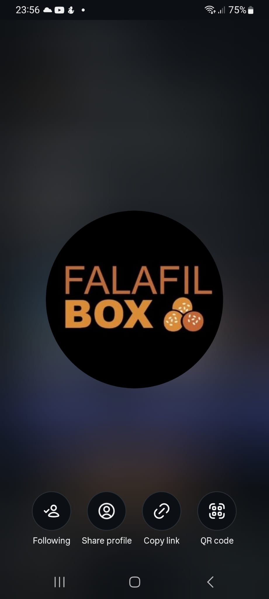 Falafel Box logo