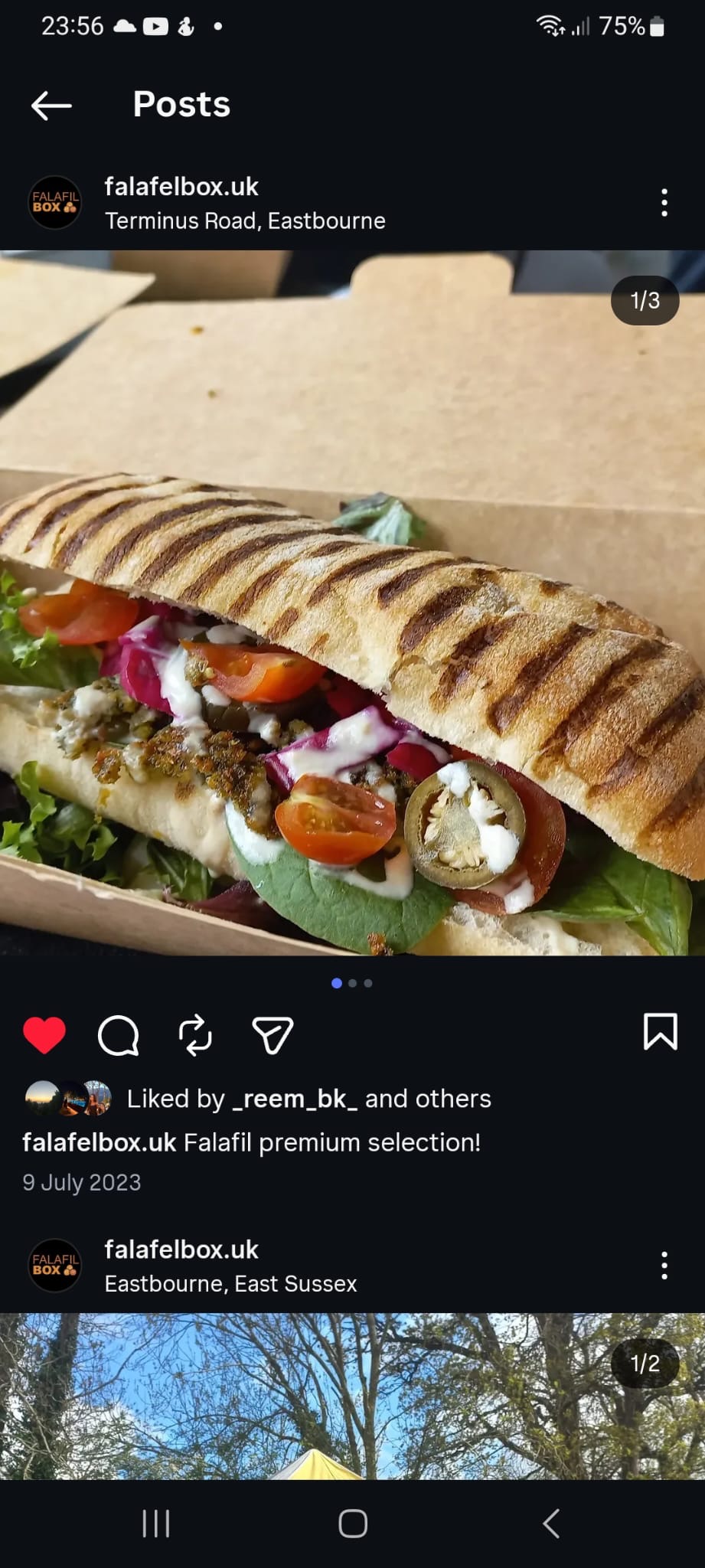 Falafel wrap concept